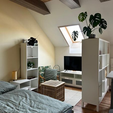 Utulny Apartman V Centre Kezmarku Кежмарок Экстерьер фото